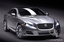 Jaguar-image